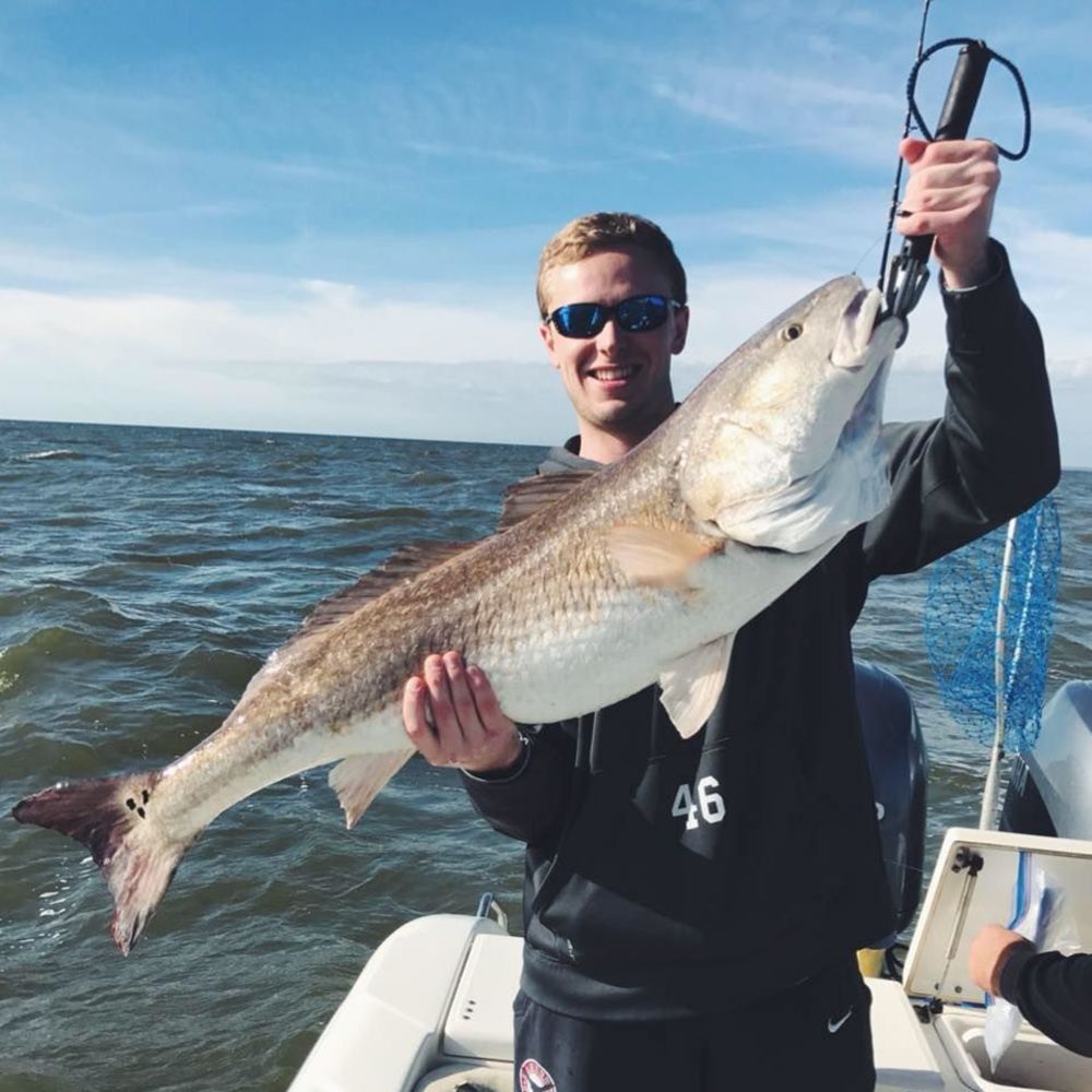 Meet your Posher, William